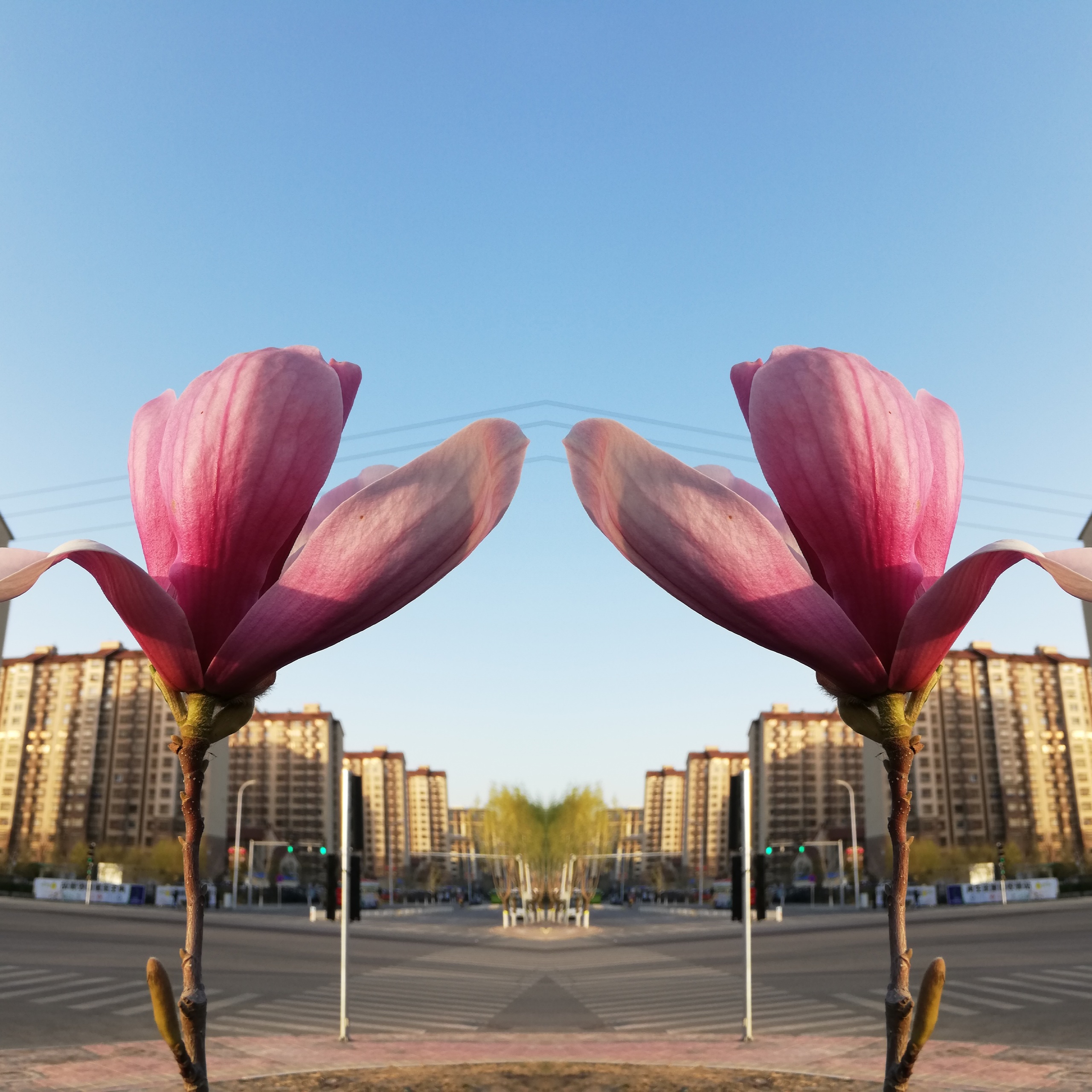 2022-04-07-08-01-23.jpg