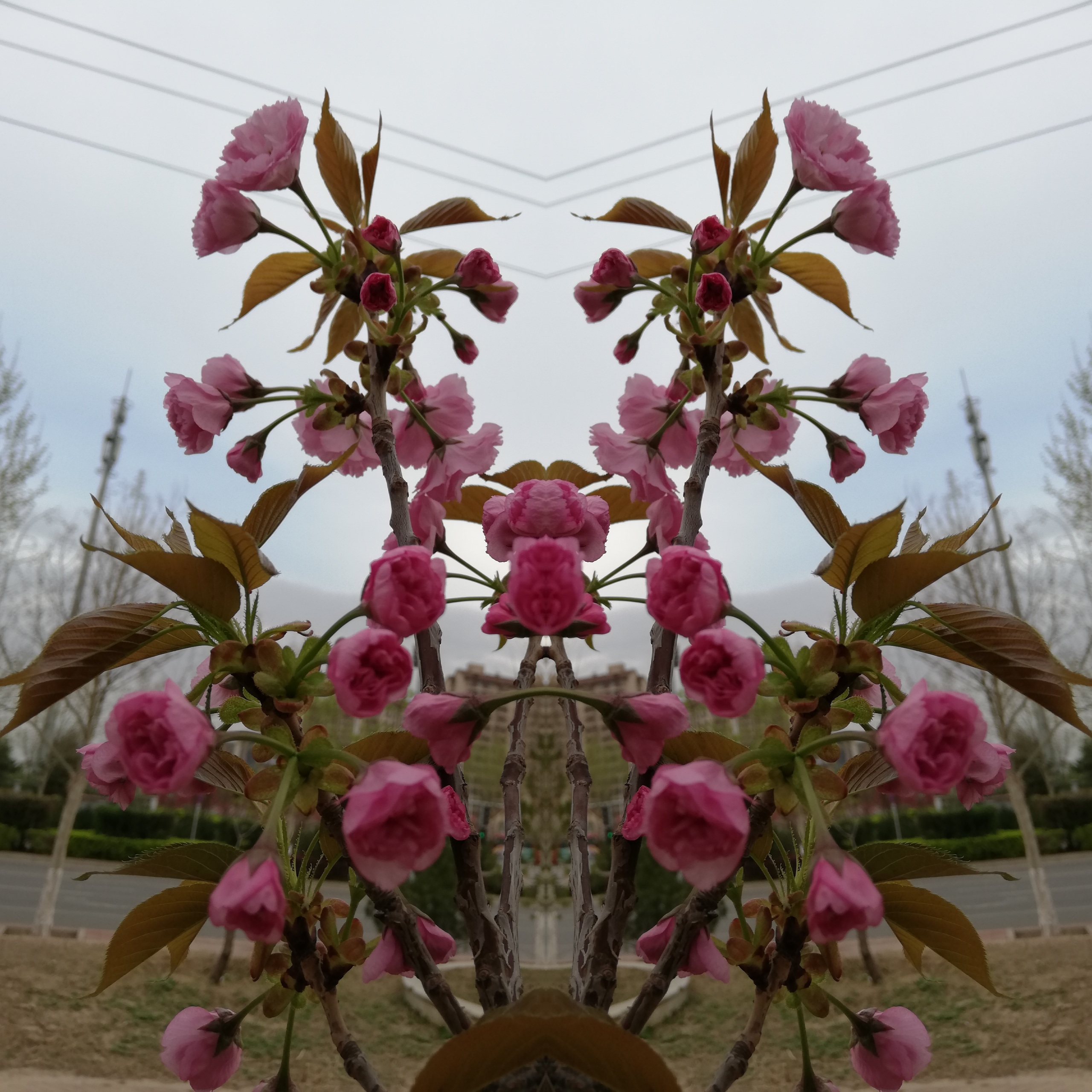2022-04-12-07-32-18.jpg