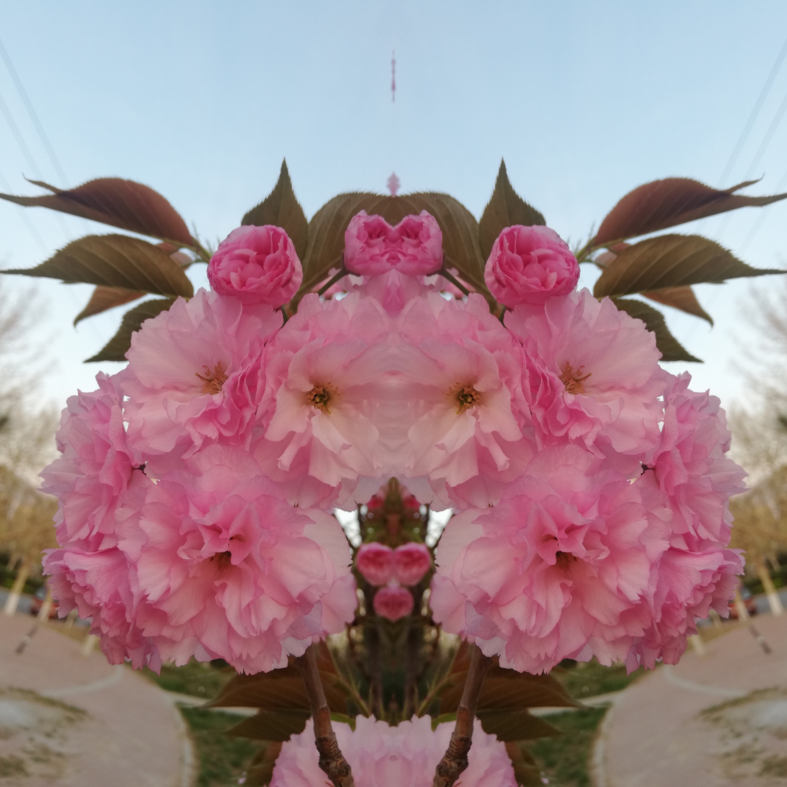 2022-04-15-11-00-58.jpg
