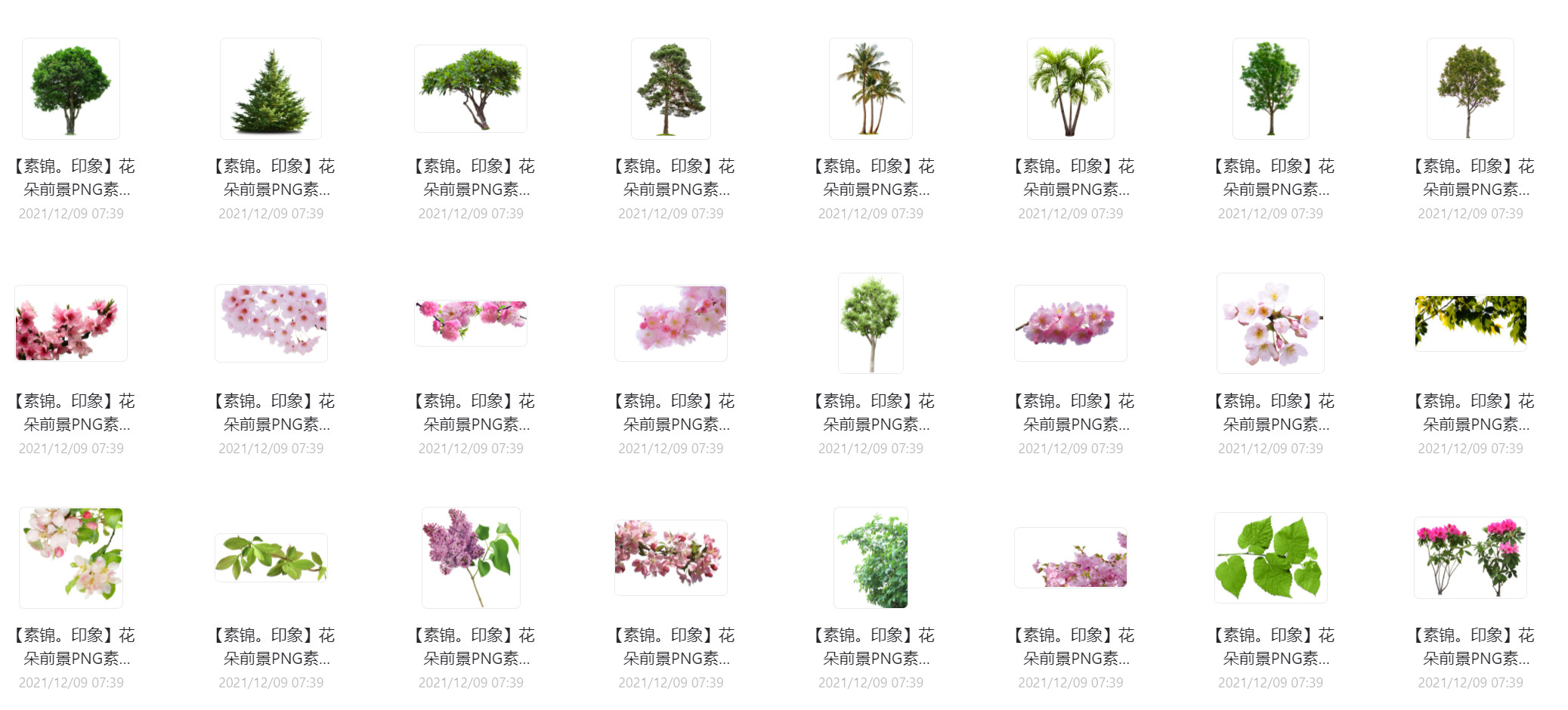 花朵树木前景png叠加素材1.jpg