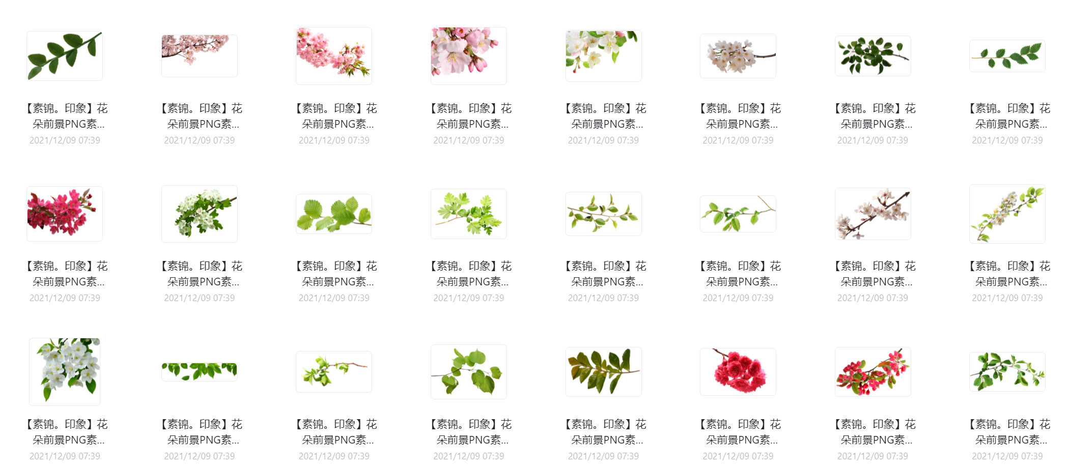 花朵树木前景png叠加素材2.jpg