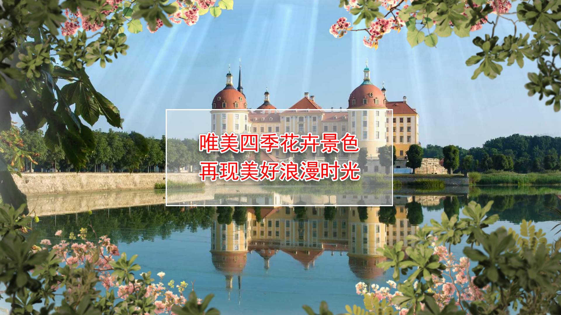 唯美四季花卉记忆照片