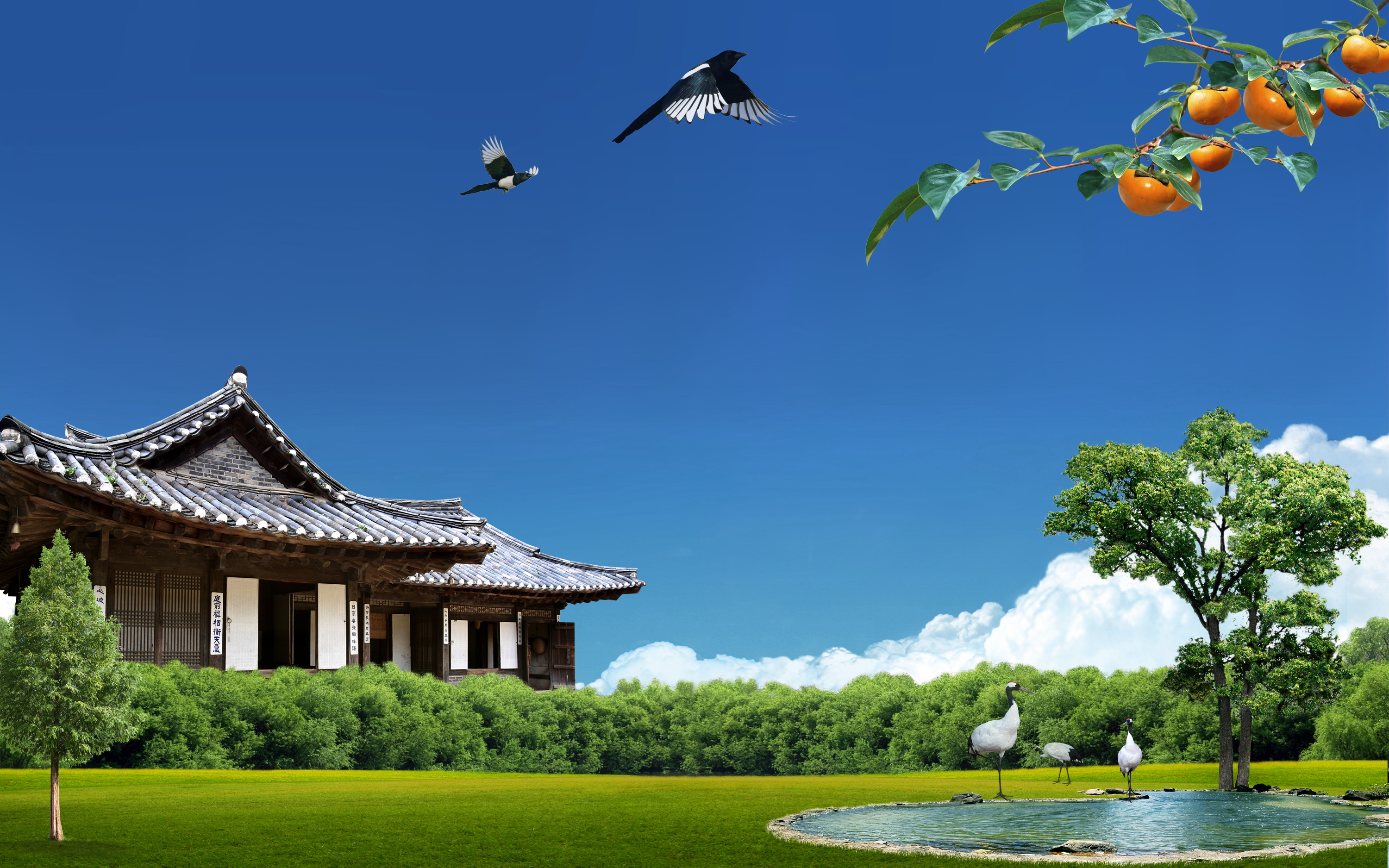 韩式自然背景 (9).jpg