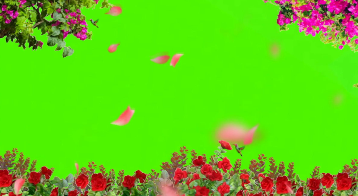 I5NH~JSV6TAJUF4GSSW~11J.png
