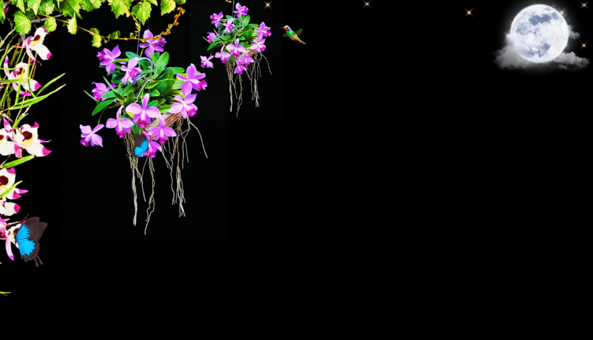 LBN1$X0DVU0D011GA)X2][L.png