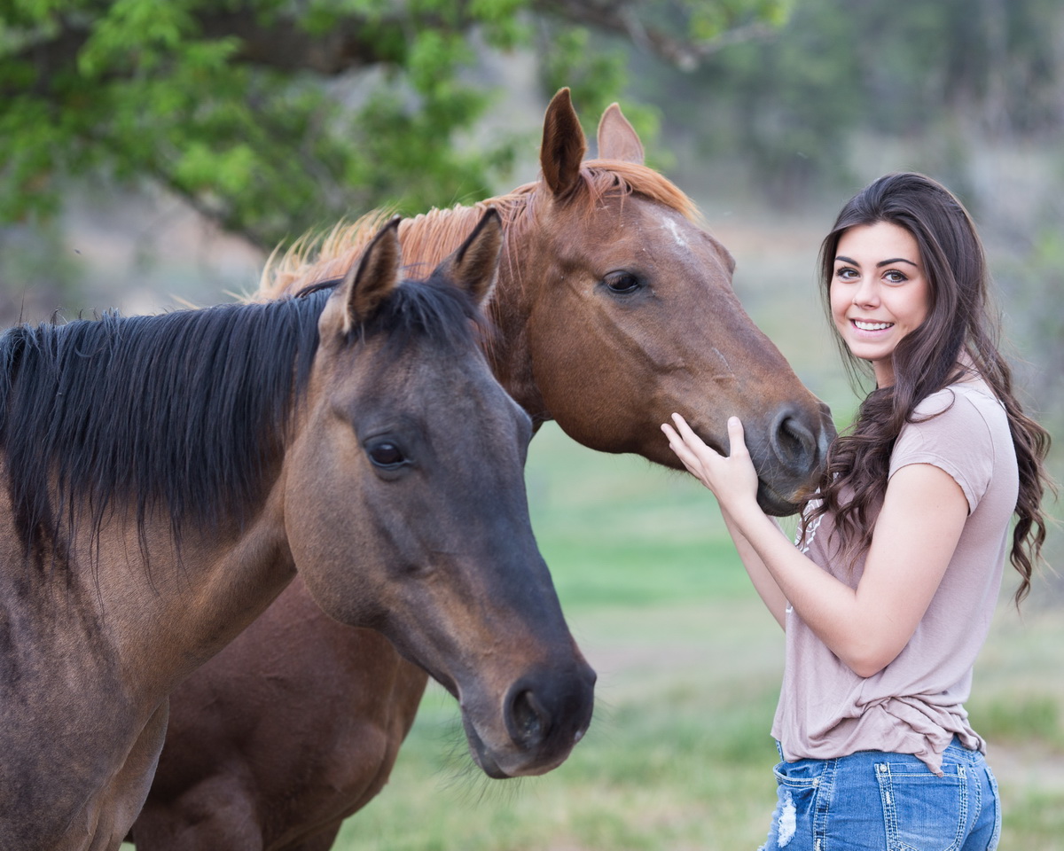 horses-1996285_调整大小.jpg