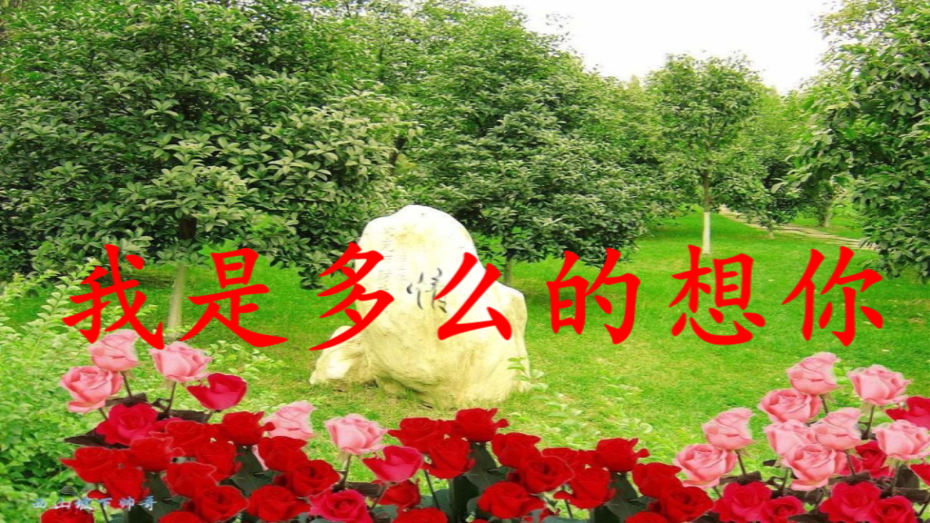 照片视频相册-我是多么的想你