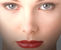 Leopard.gif