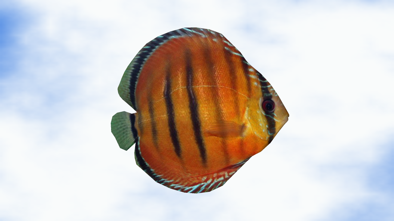 02.png