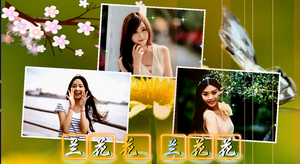 梦中的兰花花