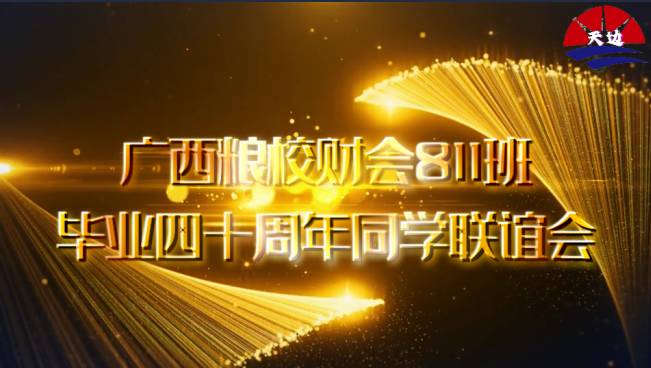 同学联谊会(光阴的故事）