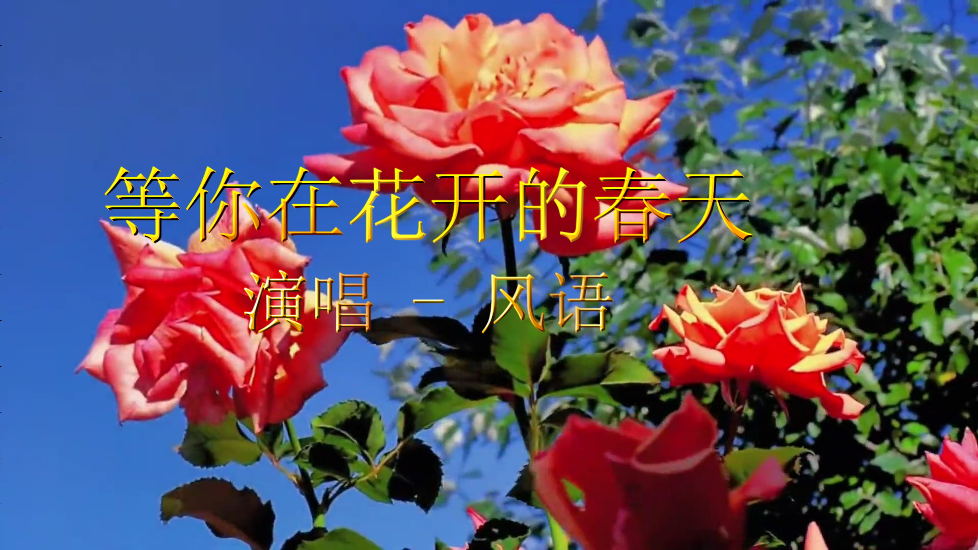 照片视频相册-等你在花开的春天