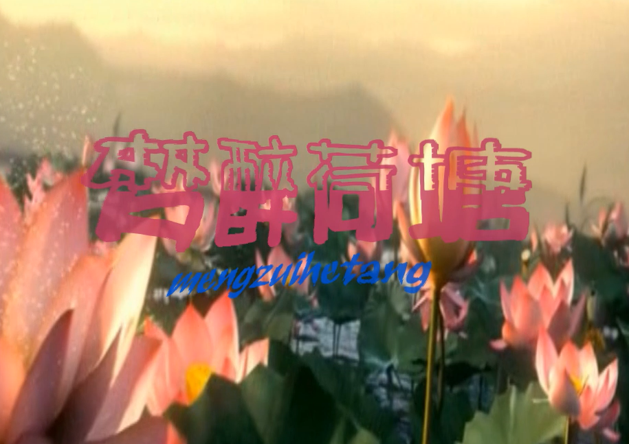 梦醉荷塘