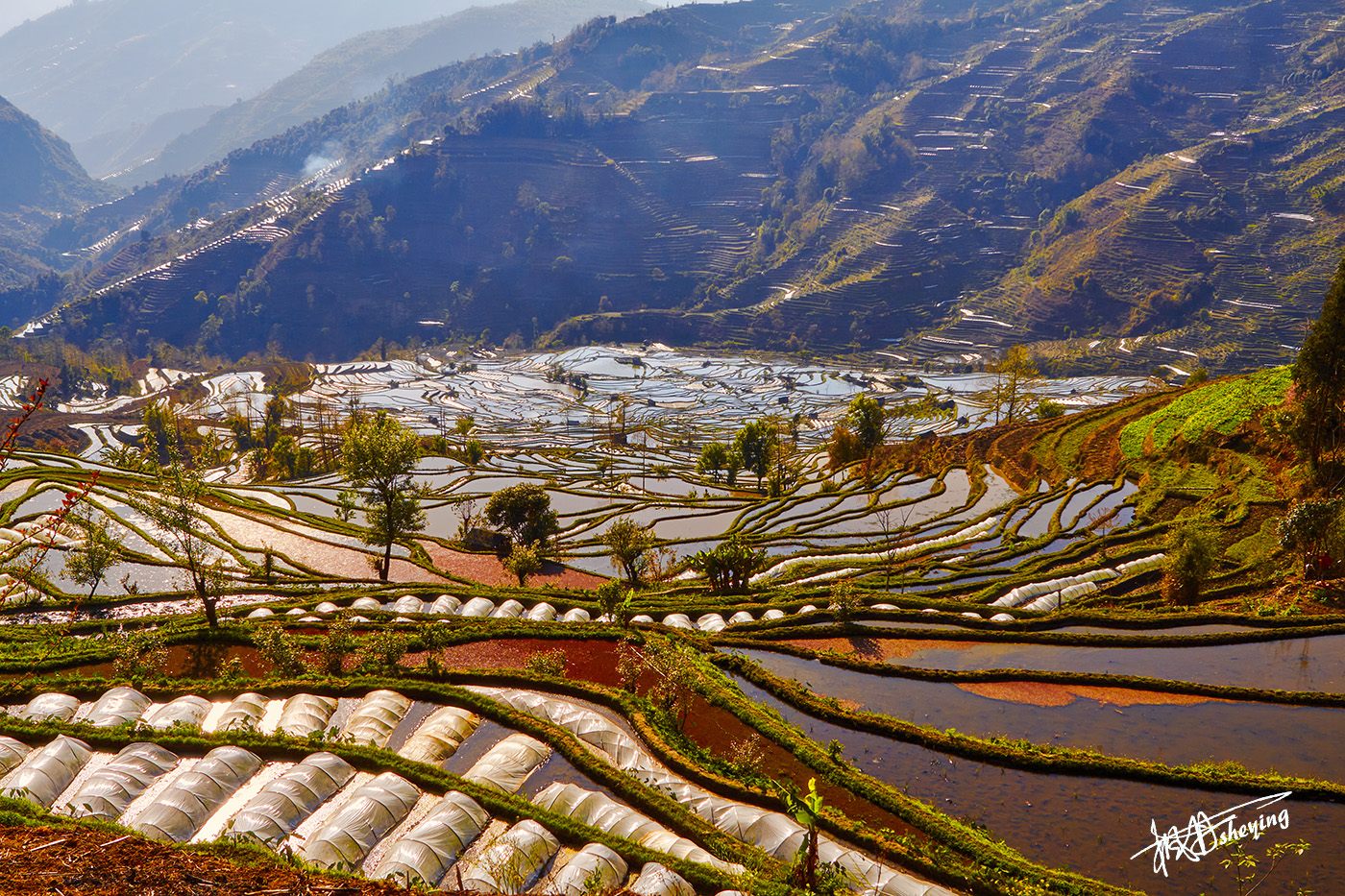 老虎嘴梯田 25.jpg