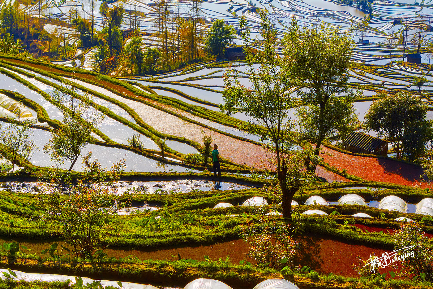 老虎嘴梯田 30.jpg