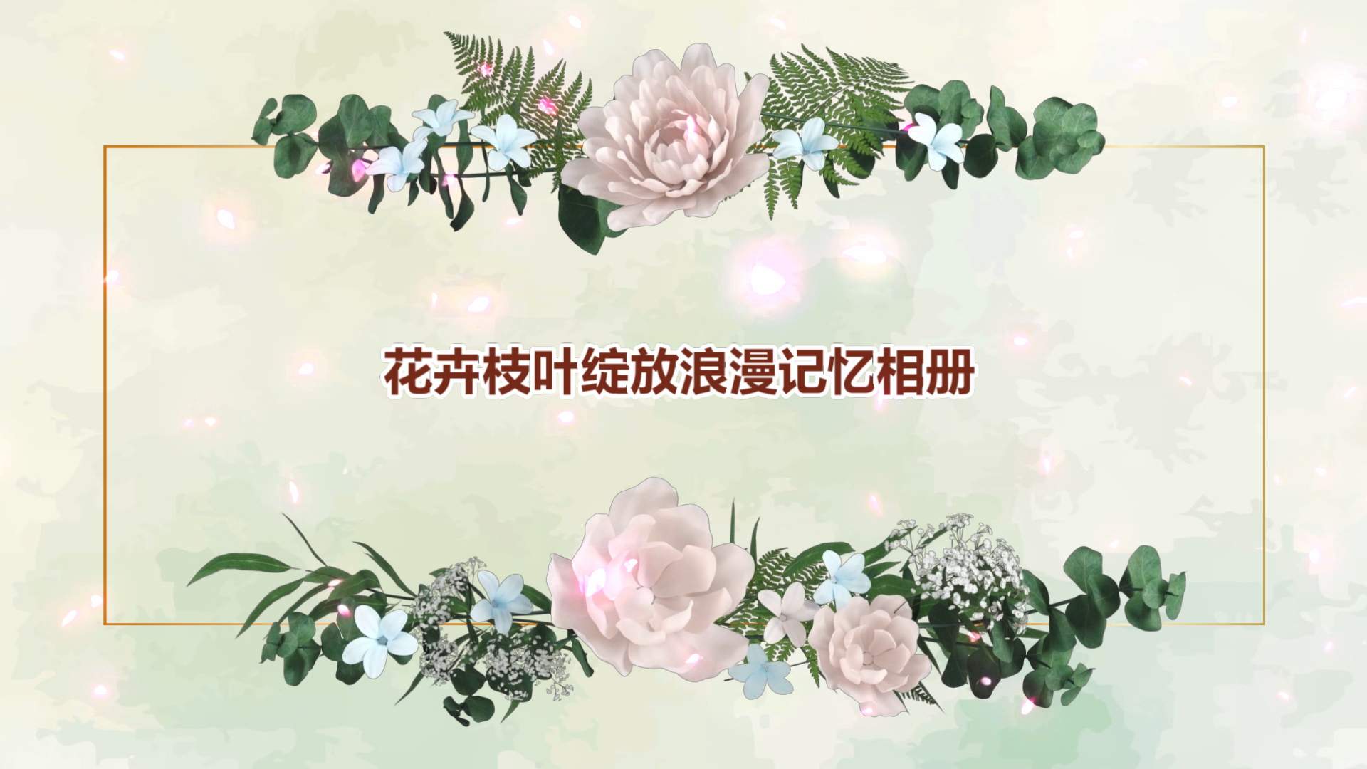枝叶藤蔓花卉绽放唯美相册