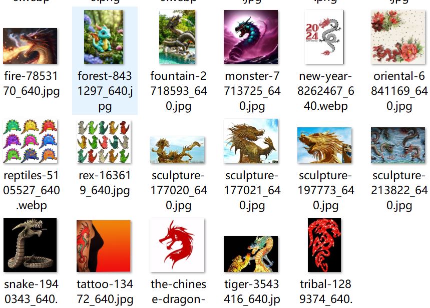 7.JPG