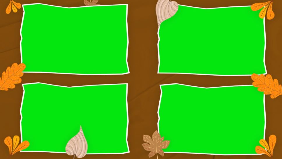 5.JPG