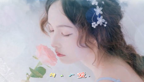 屏幕截图 2025-02-23 144317.png