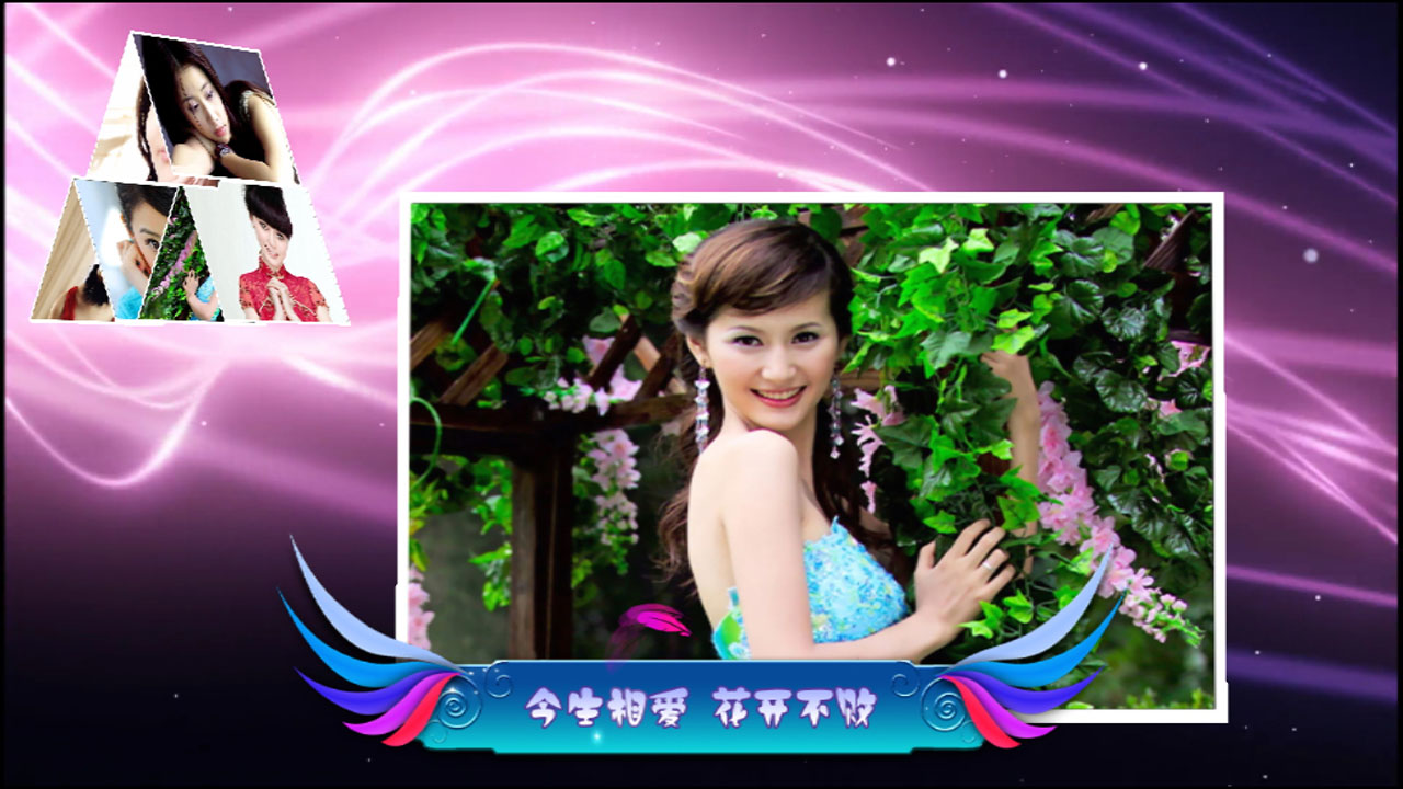 X2018 精美婚礼相册 好莱坞转场+滤镜《今生相爱》好莱坞转场+滤镜