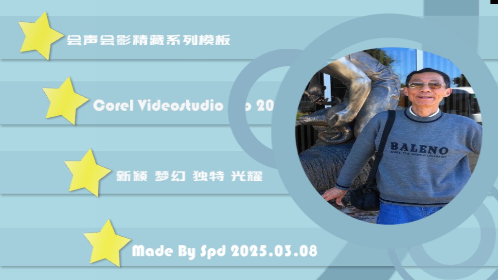 vs250308-003.jpg