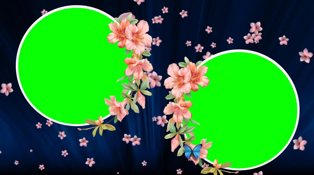 2025绿屏素材-鲜花边框1-32