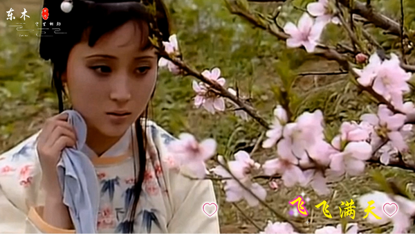 陈力-葬花吟