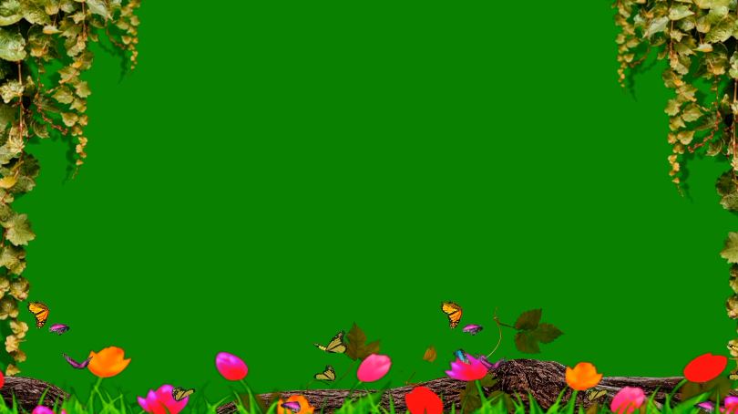 2025绿屏素材-最新下三区-52款