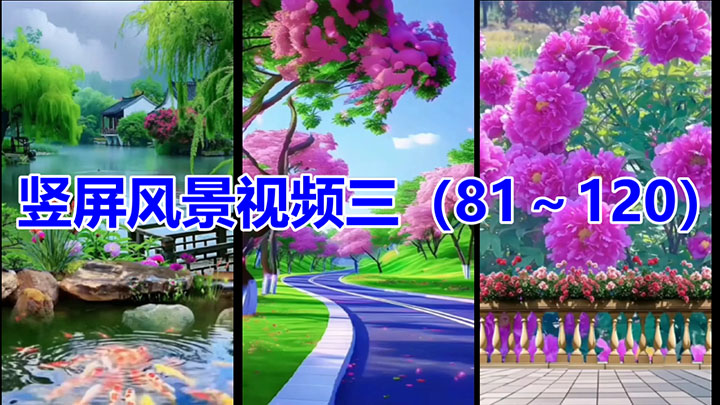 竖屏风景视频三(81～120)