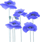 0_4d69b_fec0675b_S.png