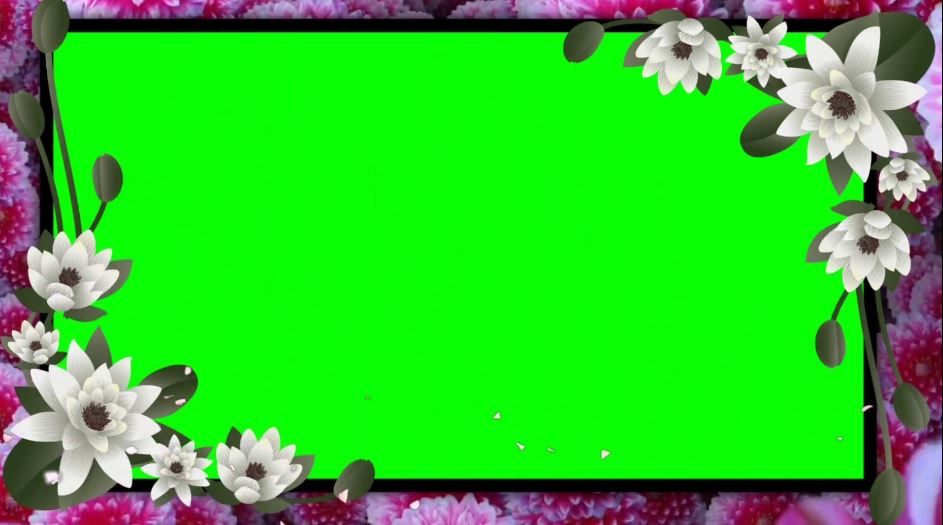 2025绿屏素材-鲜花边框-2-26