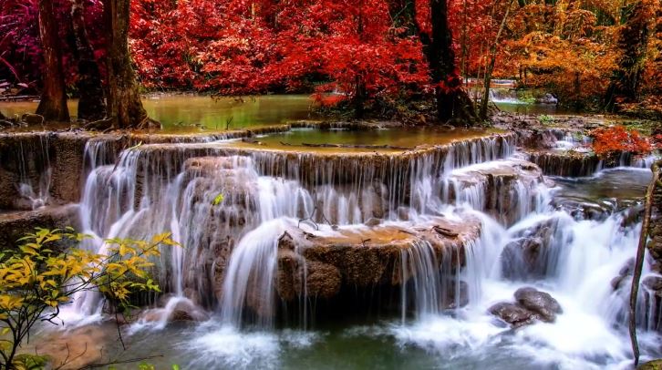 实拍素材-秋天美景-2-58款