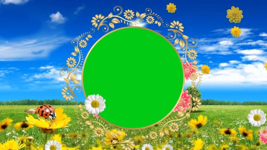 2025新颖花样边框-4-34++款