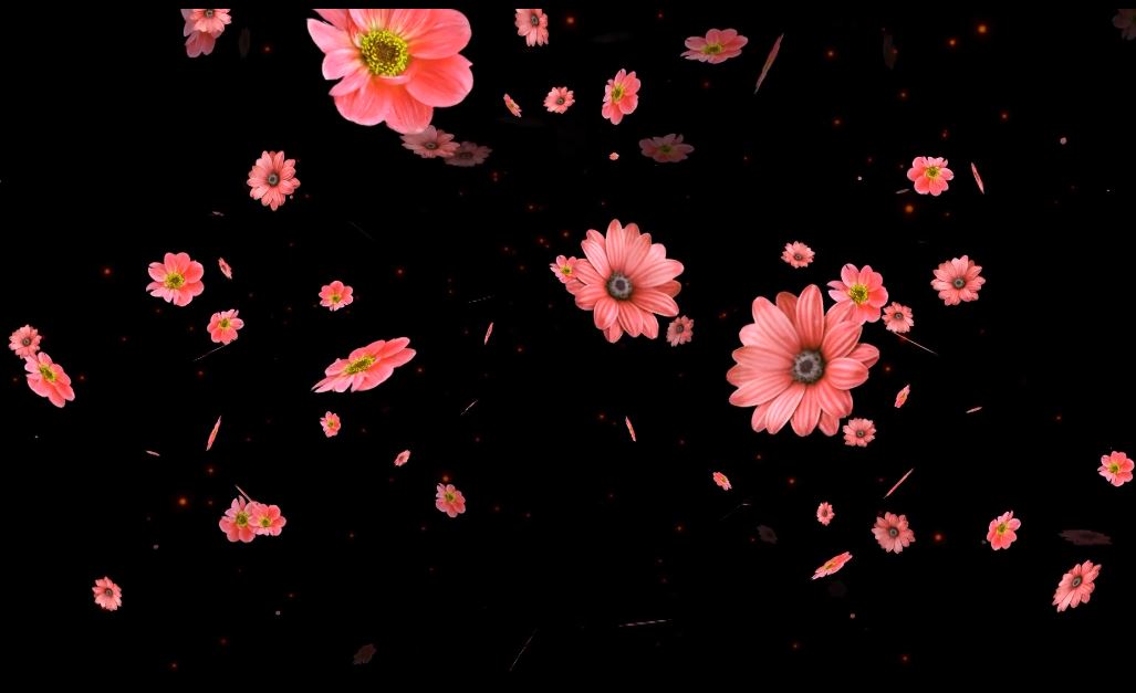 2025绿屏覆盖 花朵纷纭-2-37款