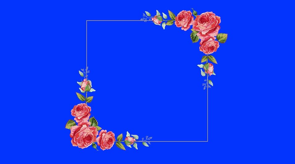 绿屏素材-花朵花样出字出图-1-32款