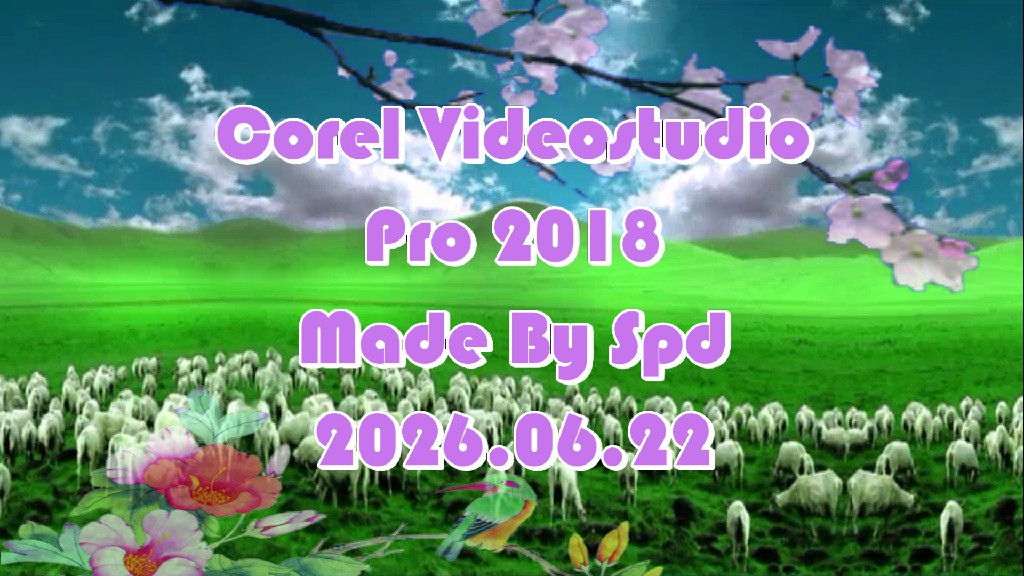 会声会影模板【退休情怀069】