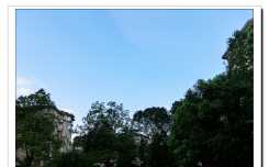 夏日清晨（8P）