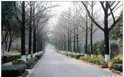 中山植物园（10P）
